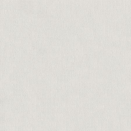 Shaw Floors FOUNDATIONS Sensible Now White Hot