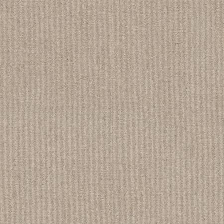 Shaw Floors FOUNDATIONS Sensible Now Passageway