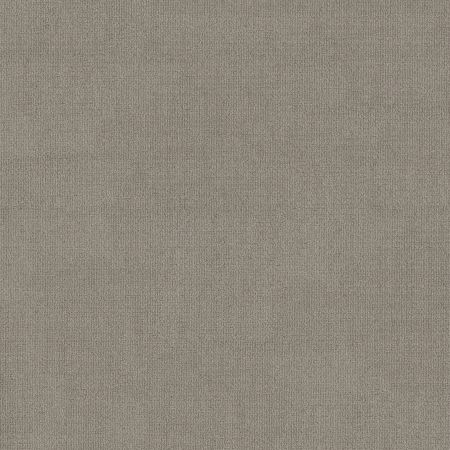 Shaw Floors FOUNDATIONS Sensible Now Silhouette