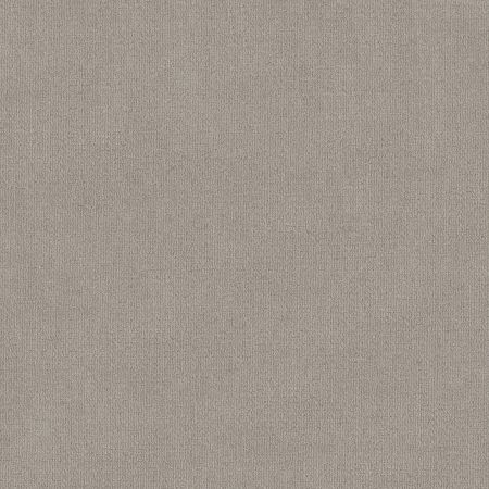 Shaw Floors FOUNDATIONS Sensible Now Etched Glass