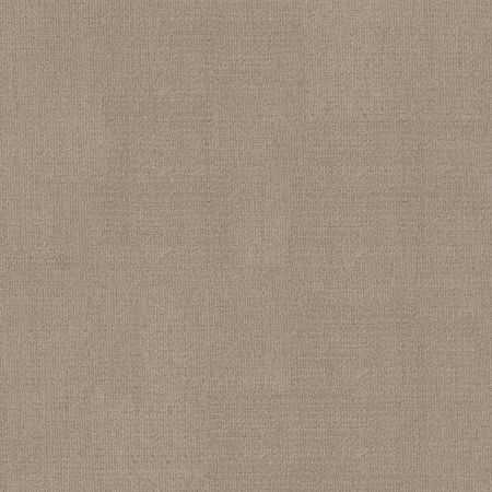 Shaw Floors FOUNDATIONS Sensible Now Park Avenue