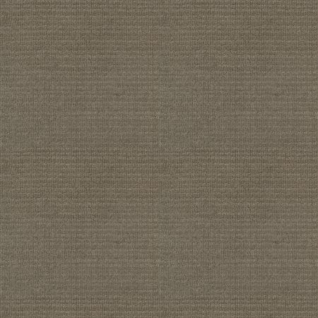 Shaw Floors FOUNDATIONS Sensible Now Abbey Stone