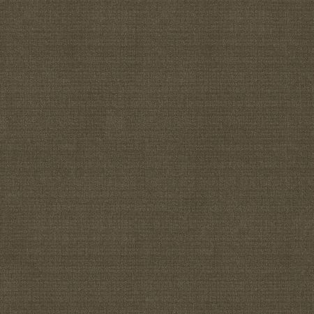 Shaw Floors FOUNDATIONS Sensible Now Antique Chest