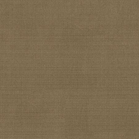 Shaw Floors FOUNDATIONS Sensible Now Summerville