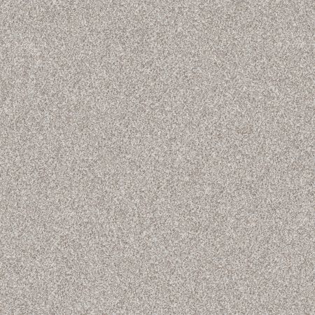 Shaw Floors FOUNDATIONS Make It Work Baby's Breath