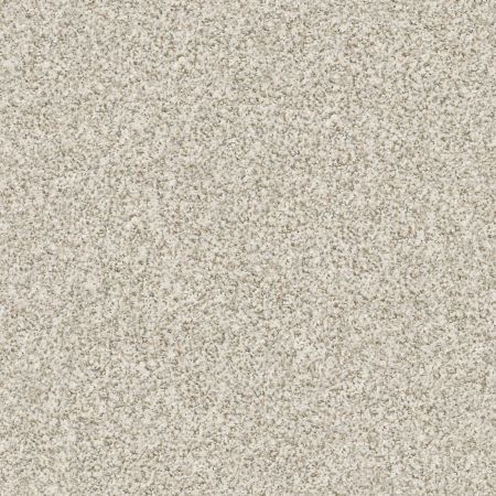 Shaw Floors FOUNDATIONS Make It Work Scenic Drive