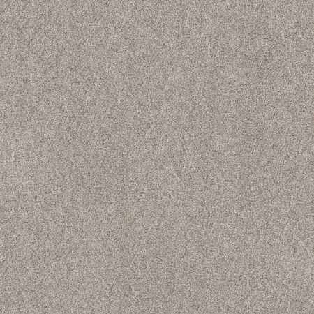 Shaw Floors FOUNDATIONS Make It Work Ambiance