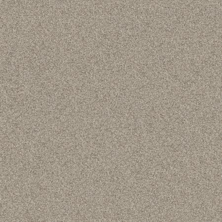 Shaw Floors FOUNDATIONS Make It Work Cocoa Butter