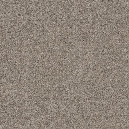 Shaw Floors FOUNDATIONS Make It Work Cobble Stone