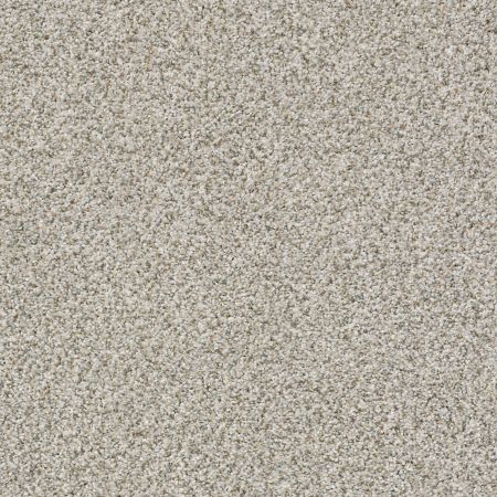 Shaw Floors FOUNDATIONS Make It Work Trade Wind