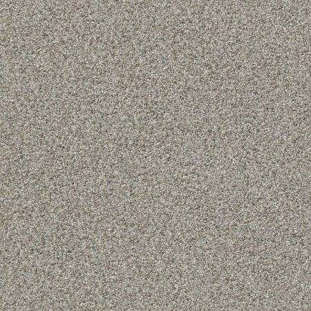 Shaw Floors FOUNDATIONS Make It Work Chat Room