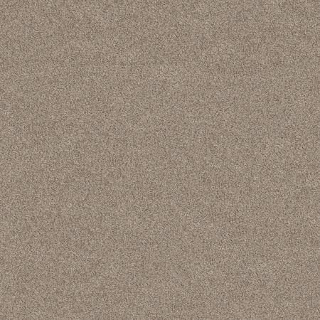 Shaw Floors FOUNDATIONS Make It Work Sands Of Time