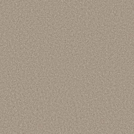 Shaw Floors PET PERFECT PLUS Just A Hint II Eggshell