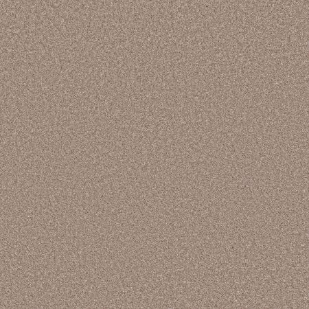 Shaw Floors PET PERFECT PLUS Just A Hint II Toast