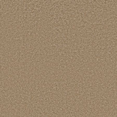 Shaw Floors PET PERFECT PLUS Just A Hint II Gold Rush