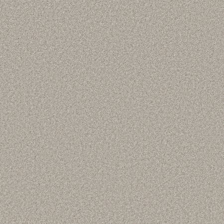 Shaw Floors PET PERFECT PLUS Just A Hint II Platinum