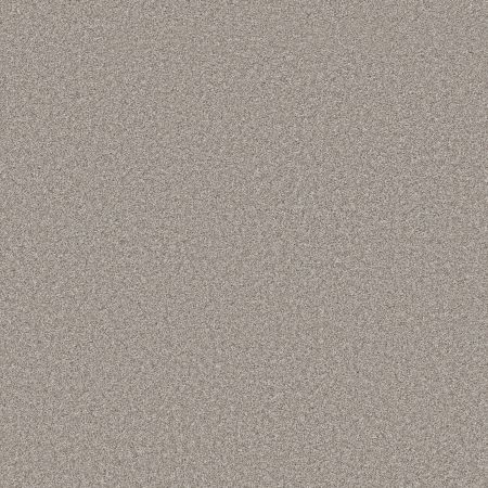 Shaw Floors PET PERFECT PLUS Just A Hint II Flax