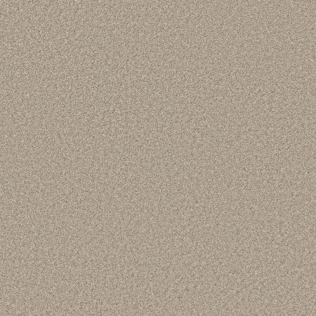 Shaw Floors PET PERFECT PLUS Just A Hint II Fog