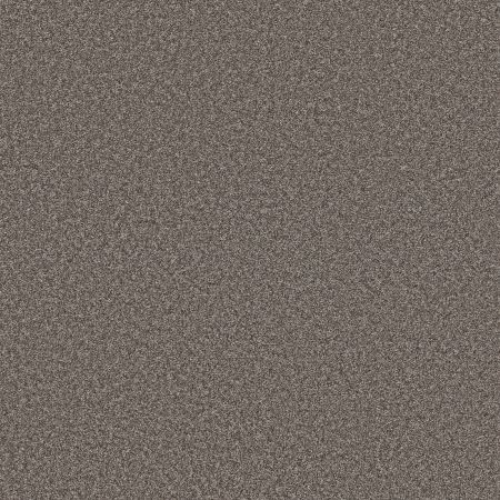 Shaw Floors PET PERFECT PLUS Just A Hint II Steel