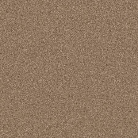 Shaw Floors PET PERFECT PLUS Just A Hint II Bronze