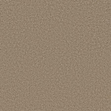 Shaw Floors PET PERFECT PLUS Just A Hint II Khaki