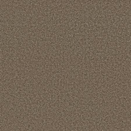 Shaw Floors PET PERFECT PLUS Just A Hint II Mink