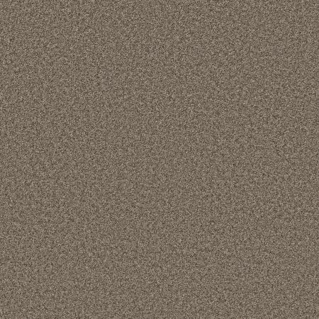 Shaw Floors PET PERFECT PLUS Just A Hint II Dreamy Taupe