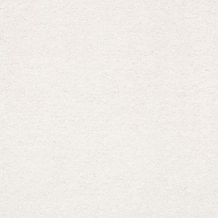 Shaw Floors PET PERFECT PLUS Basic Rules Super Fine