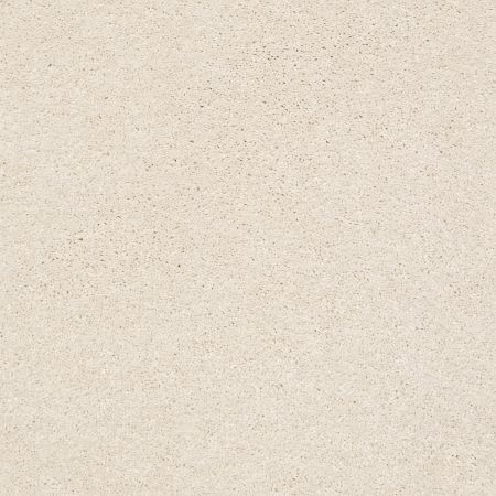 Shaw Floors PET PERFECT PLUS Basic Rules Snowfall