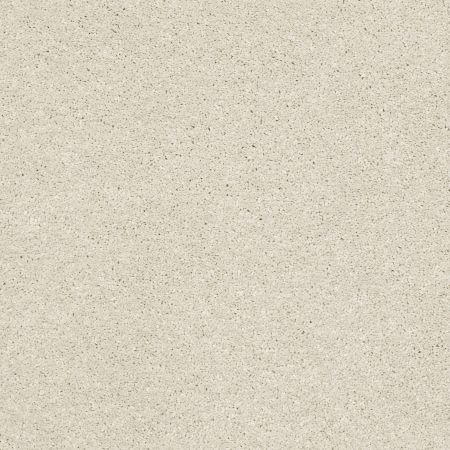 Shaw Floors PET PERFECT PLUS Basic Rules Creamery