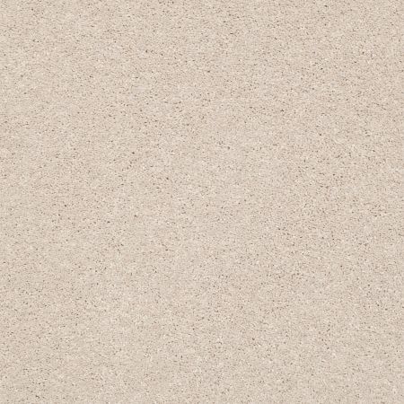 Shaw Floors PET PERFECT PLUS Basic Rules Blush