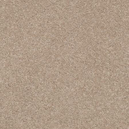 Shaw Floors PET PERFECT PLUS Basic Rules Toast