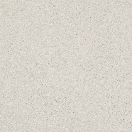 Shaw Floors PET PERFECT PLUS Basic Rules Dew