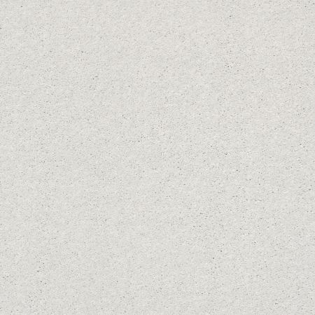 Shaw Floors PET PERFECT PLUS Basic Rules Mist