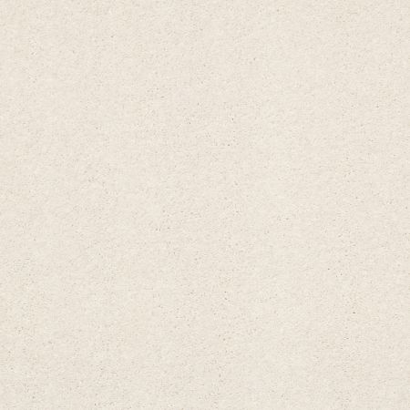 Shaw Floors PET PERFECT PLUS Basic Rules Oatmeal