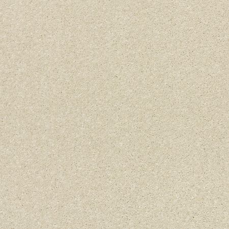 Shaw Floors PET PERFECT PLUS Basic Rules Linen