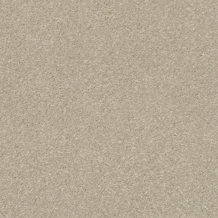 Shaw Floors PET PERFECT PLUS Basic Rules Vicuna