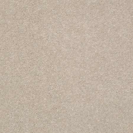 Shaw Floors PET PERFECT PLUS Basic Rules Arctic Fox