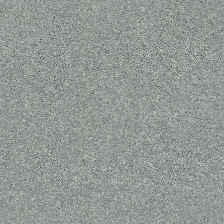 Shaw Floors PET PERFECT PLUS Basic Rules Aquamarine