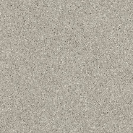 Shaw Floors PET PERFECT PLUS Basic Rules Platinum