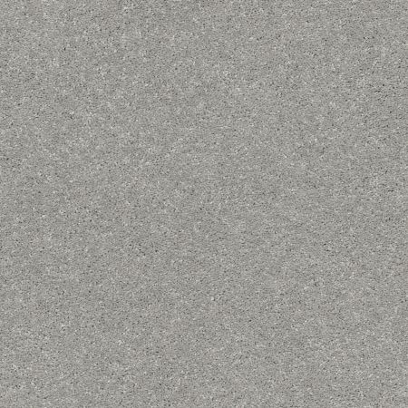 Shaw Floors PET PERFECT PLUS Basic Rules Sterling