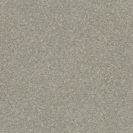 Shaw Floors PET PERFECT PLUS Basic Rules Flax