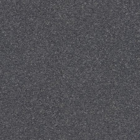 Shaw Floors PET PERFECT PLUS Basic Rules Steel