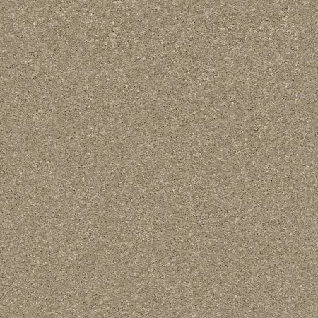 Shaw Floors PET PERFECT PLUS Basic Rules Khaki