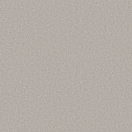 Shaw Floors PET PERFECT PLUS Just A Hint I Creamery