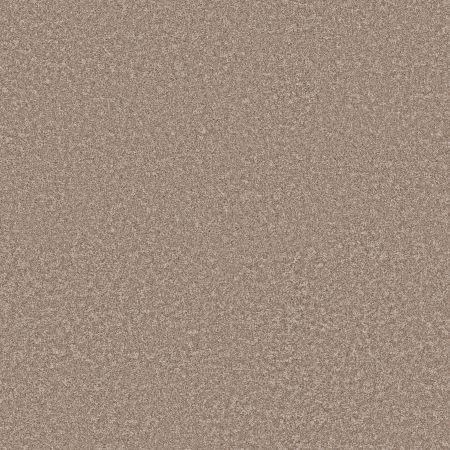 Shaw Floors PET PERFECT PLUS Just A Hint I Toast