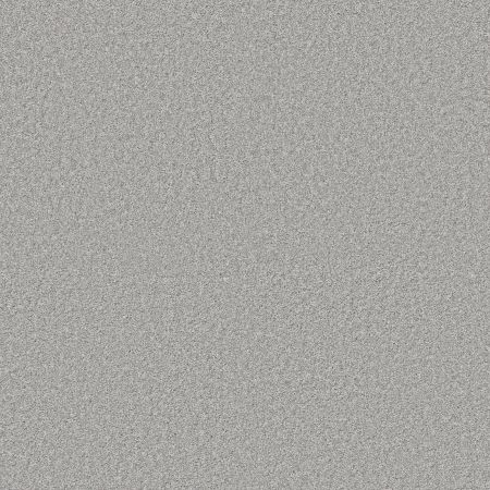 Shaw Floors PET PERFECT PLUS Just A Hint I Mist