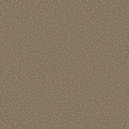 Shaw Floors PET PERFECT PLUS Just A Hint I Gold Rush