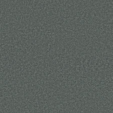 Shaw Floors PET PERFECT PLUS Just A Hint I Blue Wing