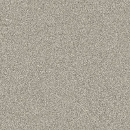 Shaw Floors PET PERFECT PLUS Just A Hint I Platinum